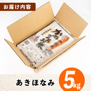 isa615 かめさんのお米(5kg・あきほなみ) ふるさと納税 伊佐市 特産品 白米 精米 アキホナミ【Farm-K】