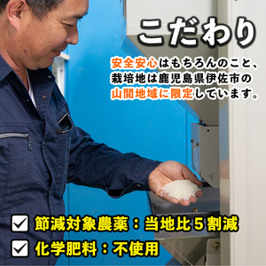 isa616-A 【定期便6回】＜普通精米＞令和6年産 鹿児島県伊佐産 特別栽培あきほなみ(計60kg・10kg×6ヵ月) 国産 白米 精米 伊佐米 お米 米 生産者 定期便 あきほなみ アキホナミ 新米 特別栽培米 【Farm-K】