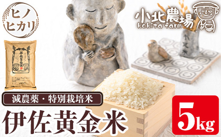 楽天市場】鹿児島県 ヒノヒカリ（米・雑穀｜食品）の通販