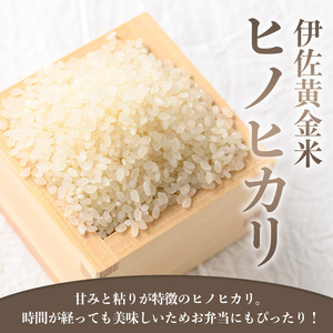 isa601 《数量限定・3回定期便》令和7年産 小北農場の新米 伊佐黄金米〈ヒノヒカリ〉(計15kg・5kg×1袋×3回) 鹿児島 伊佐 新米 お米 特別栽培米 伊佐米 白米 ヒノヒカリ ひのひかり おにぎり ごはん 【小北農場】