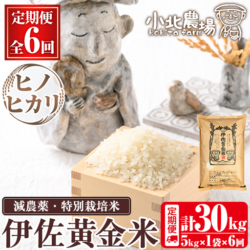 isa602 《数量限定・6回定期便》令和7年産 小北農場のお米 伊佐黄金米〈ヒノヒカリ〉(計30kg・5kg×1袋×6回) 鹿児島 伊佐 お米 特別栽培米 伊佐米 白米 ヒノヒカリ ひのひかり おにぎり ごはん 【小北農場】