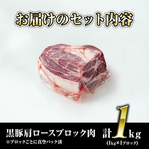 isa659 鹿児島県産豚肉！黒豚肩ロースブロック肉(計1kg・1kg×1ブロック) 国産 鹿児島 九州産 豚 豚肉 肩 ロース チャーシュー 焼豚 BBQ バーベキュー キャンプ アウトドア 冷凍 冷凍便 【財宝】