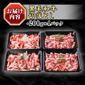 isa692 鹿児島県(カミチクファーム 大口農場)産 黒毛和牛切り落とし(計800g・200g×4パック) 黒毛和牛 切り落とし 和牛 国産牛 高級肉 A5 ランク 霜降り 赤身 牛肉 薄切り スライス 多用途 日常使い ごちそう 人気 おすすめ 高タンパク 【お肉の直売所 伊佐店】