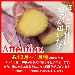 isa741 <予約受付中!2025年12月発送分(12月中に発送)>ふみおじいちゃんのやきいも(紅はるか・計3.0kg) 冷凍 パック 小分け サツマイモ 焼き芋 天然スイーツ 焼芋 紅はるか 【いさ工房】