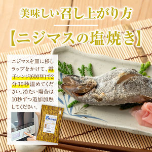 isa748 曽木の滝 なりざわ特製 鯉こく・鯉あらい・ニジマスの塩焼きセット(各2食) 鯉こく 鯉あらい ニジマス 塩焼き 川魚料理 川魚 郷土料理 和食 【やさしいまち】
