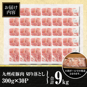 isa784 【生活応援：数量限定】〈先行予約受付中！2026年2月より順次発送〉九州産 豚肉切り落とし (合計9.0kg) 国産 真空包装 真空パック ファスナー 小分け 切落とし ぶたにく 豚 肉 冷凍 【サンキョーミート株式会社】