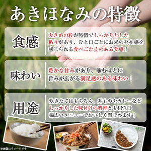 isa806 鹿児島県産あきほなみ(10kg) 国産 鹿児島県 米 お米 白米 伊佐米 【赤崎農園】