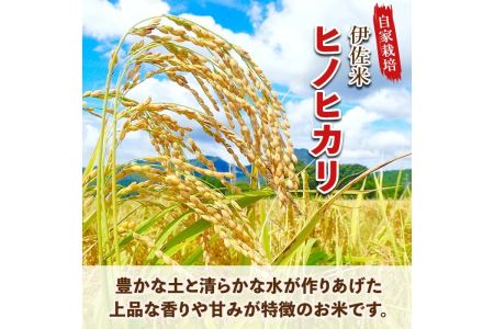 A0-30 伊佐のお米(5kg) 伊佐市 特産品 国産 米 白米 お米 ご飯 精米 薩摩の米蔵 伊佐米 ヒノヒカリ ひのひかり 酵素栽培【猩々農園】