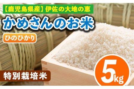 Z9-01 かめさんのお米(5kg・ひのひかり) 伊佐市 特産品 白米 精米 ヒノヒカリ【Farm-K】