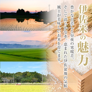 A7-03 いさひかり(5kg×2袋・計10kg) 伊佐市 特産品 お米 米 白米 精米 伊佐米 ご飯 ヒノヒカリ【JA北さつま】