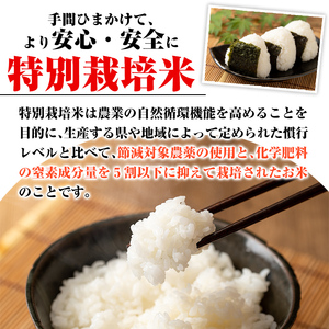 C0-09 ＜先行予約受付中！2024年10月中旬から順次発送＞【定期便】令和6年産 新米 特別栽培米 伊佐米永池ひのひかり(計18kg・3kg×6ヶ月)伊佐市 特産品 定期便 鹿児島 永池 お米 米 白米 精米 伊佐米 九州米サミット 食味コンテスト 最優秀賞受賞 ヒノヒカリ【エコファーム永池】