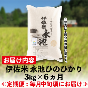 C0-09 ＜先行予約受付中！2024年10月中旬から順次発送＞【定期便】令和6年産 新米 特別栽培米 伊佐米永池ひのひかり(計18kg・3kg×6ヶ月)伊佐市 特産品 定期便 鹿児島 永池 お米 米 白米 精米 伊佐米 九州米サミット 食味コンテスト 最優秀賞受賞 ヒノヒカリ【エコファーム永池】