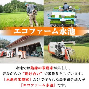 B8-05 令和6年産 新米 特別栽培米 永池ひのひかり(計20kg・5kg×4袋)伊佐市 特産品 鹿児島 永池 お米 米 白米 精米 伊佐米 九州米サミット  食味コンテスト 最優秀賞受賞 ヒノヒカリ【エコファーム永池】 | 鹿児島県伊佐市 | ふるさと納税サイト「ふるなび」