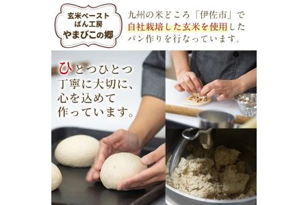 Z5-03 プレミアム玄米カンパーニュセット(2個) 伊佐市 特産品 自社栽培 玄米 カンパーニュ パン【やまびこの郷】