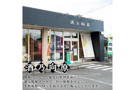 Z8-01 伊佐小町 焼酎グラスセット(6個入り) 伊佐市 特産品 本格芋焼酎【酒乃向原】 | 鹿児島県伊佐市 | ふるさと納税サイト「ふるなび」