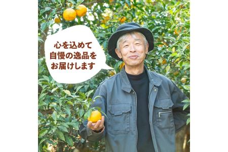 A0-45 ＜数量限定＞ゆず小姓 半ダース(65g×6個) 伊佐市 特産品 柚子 ゆず ユズ コショウ スパイス 自家栽培 トウガラシ 手作り ピリ辛 さわやか 柚子胡椒【ゆず香房】