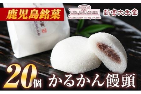 Isa148 毎月数量限定 かるかん饅頭 個 鹿児島の伝統菓子軽羹のセット 贈り物 ご進物にも 新富大生堂 鹿児島県伊佐市 ふるさと納税サイト ふるなび