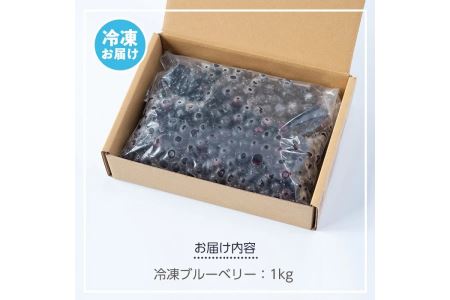 isa157 冷凍ブルーベリー(1kg) 【伊佐ブルーベリーつみとり観光農園】