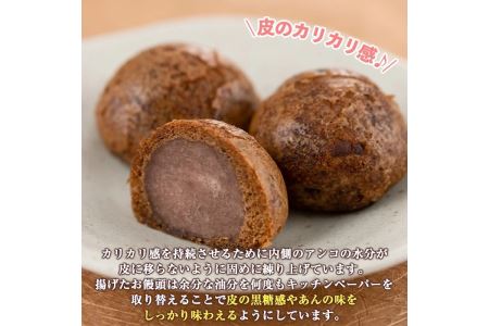 Isa181 毎月数量限定 伊佐のがんこおやじ かりんとう饅頭 箱あり 計10個 あんこを黒糖味の皮で包んでカリカリに揚げたまんじゅう 新富大生堂 鹿児島県伊佐市 ふるさと納税サイト ふるなび