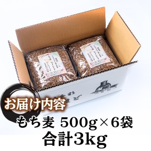 するめいか鯣烏賊】岩手県産 大容量3kg 個包装500g×6袋 - その他 加工食品