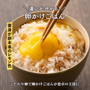 isa196 【定期便】いちき農園のこだわり卵(計360個・30個×12カ月) 平飼い 鶏 たまご 低コレステロール 無添加 抗生物質不使用 卵かけご飯 TKG 定期便【いちき農園】