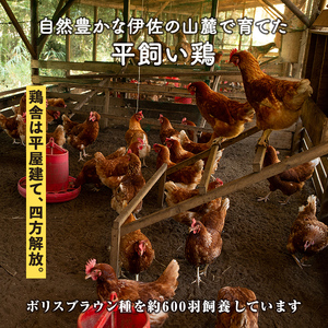 A0-07 いちき農園のこだわり卵(計30個・10個入り×3パック) 平飼い 鶏 たまご 低コレステロール 抗生物質不使用 卵かけご飯 TKG【いちき農園】