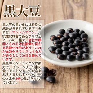 isa358 《毎月数量限定》薩摩の米どころ伊佐市の田んぼで育てた黒豆茶(100g×5袋)【神薗商店】