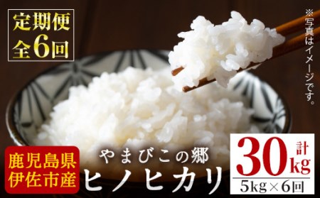E0-03 【定期便6回】特別栽培ヒノヒカリ(計30kg・毎月5kg×6ヶ月) ふるさと納税 伊佐市 特産品 白米 精米 ひのひかり【やまびこの郷】
