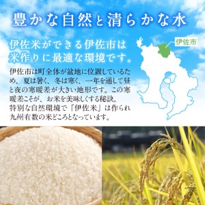 E0-03 【定期便6回】特別栽培ヒノヒカリ(計30kg・毎月5kg×6ヶ月) ふるさと納税 伊佐市 特産品 白米 精米 ひのひかり【やまびこの郷】