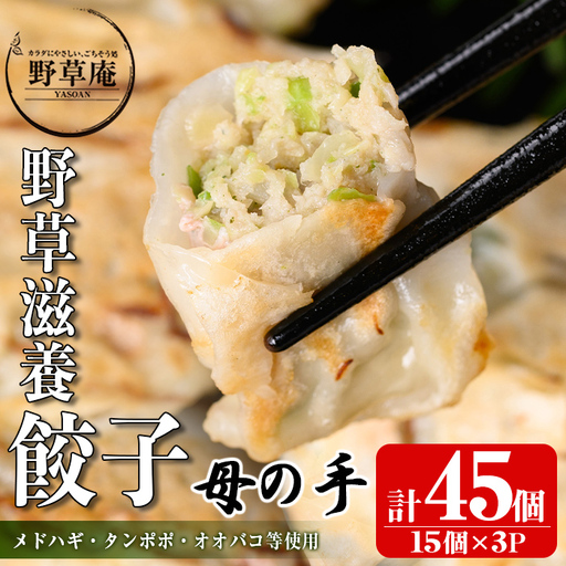 isa426 野草滋養餃子「母の手」(計45個・15個×3P)ギョーザ ぎょうざ 鹿児島 手作り ギョウザ 豚肉 冷凍食品 おかず おつまみ 惣菜 小分け 焼くだけ 簡単調理 冷凍便【やさしいまち】