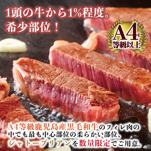 a269 A4等級 以上 鹿児島産黒毛和牛・シャトーブリアン2枚(合計200g)【財宝】国産 牛肉 希少部位 フィレ ステーキ