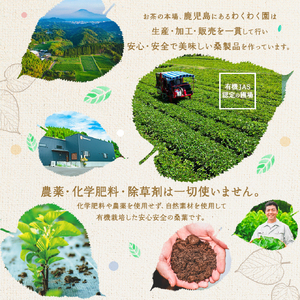 a933 さつま桑茶10袋セット【わくわく園】桑の葉 桑 桑茶 有機栽培 有機JAS 国産 高級品種 センシン