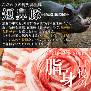 a009-A 鹿児島黒豚「短鼻豚」無添加炭火焼豚ウデ詰め合わせ合計200g(約200g×1P)【鹿児島ますや】国産 鹿児島黒豚 無添加 焼き豚 炭火焼き豚 チャーシュー