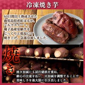 a956-D 冷凍焼き芋スイーツセット(Dセット:冷凍焼き芋(紅はるか)1kg×1袋、冷凍焼き芋(安納芋・シルクスイート)各500g×2袋、サクッとお芋棒 250g×1袋)【ファーム工房】姶良市 国産 鹿児島県産 さつまいも サツマイモ 長期熟成 紅はるか 冷凍大学芋 大学芋 焼き芋 焼芋 焼き芋 スイーツ おやつ