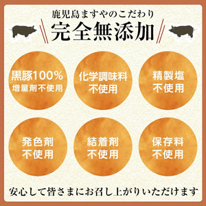 a966 ＜年内発送＞鹿児島黒豚「短鼻豚」ヒレかつ(計600g・50g×12枚)【鹿児島ますや】 国産 鹿児島黒豚 豚肉 無添加 とんかつ 豚カツ ヒレカツ カツ 冷凍 揚げるだけ 簡単 惣菜 おかず 弁当