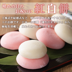 a951-B 紅白餅(100g×2個を10セット)【ちろす家】姶良市 おもち 餅 お祝い 餅投げ 餅まき イベント 個包装 和菓子 真空パック 冷凍 選べる お餅