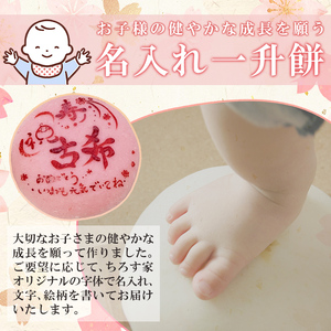 a953-B ＜期間限定！2025年11月～2026年5月末の間で発送対応＞名入れ一升餅(紅)【ちろす家】姶良市 おもち 餅 背負い餅 餅踏み お祝い 1歳 男の子 女の子 誕生日 ベビー イベント 真空パック 冷凍