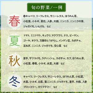 a967 姶良産 有機野菜の詰合せセット(10種前後)【今村農園】姶良市 国産 鹿児島県 野菜 やさい 旬 有機栽培 詰め合わせ 春 夏 秋 冬 季節