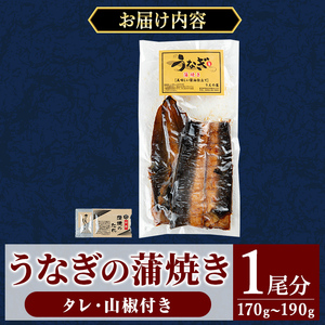 a982-A うなぎ蒲焼き・1尾分(170g~190g)【うえの屋】姶良市 うなぎ 鰻 ウナギ 蒲焼き 蒲焼 かばやき カット タレ 鹿児島 国産 冷凍