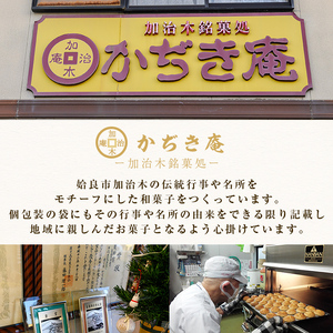 a990 銘菓詰め合わせ・計20個(5種×4個)【菓子処 かぢき庵】 姶良市 姶良カルどら くも合戦 さつまおまき 太鼓踊り たつもんじ坂 和菓子 手づくり お菓子 おやつ お茶請け お茶菓子 スイーツ デザート セット 詰合せ 詰め合わせ お土産 ギフト