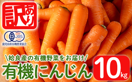 a992 《訳あり》《期間限定!2025年12月上旬~2026年3月上旬迄に発送予定》有機人参 (10kg)【今村農園】姶良市 国産 有機栽培 有機 野菜 やさい にんじん ニンジン 訳アリ