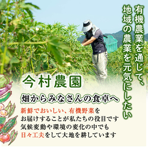a992 《訳あり》《期間限定!2025年12月上旬~2026年3月上旬迄に発送予定》有機人参 (10kg)【今村農園】姶良市 国産 有機栽培 有機 野菜 やさい にんじん ニンジン 訳アリ