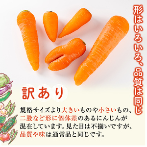 a992 《訳あり》《期間限定!2025年12月上旬~2026年3月上旬迄に発送予定》有機人参 (10kg)【今村農園】姶良市 国産 有機栽培 有機 野菜 やさい にんじん ニンジン 訳アリ