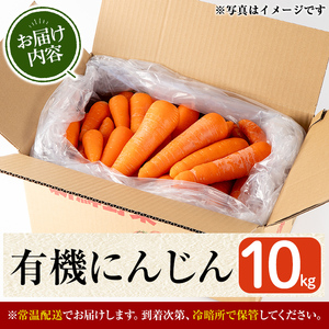 a992 《訳あり》《期間限定!2025年12月上旬~2026年3月上旬迄に発送予定》有機人参 (10kg)【今村農園】姶良市 国産 有機栽培 有機 野菜 やさい にんじん ニンジン 訳アリ