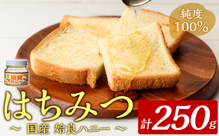 a1002-A 《期間限定!》姶良ハニー(250g)【原電設工業】姶良市 国産 ハチミツ はちみつ 蜂蜜 百花蜜 蜜 常温 常温保存