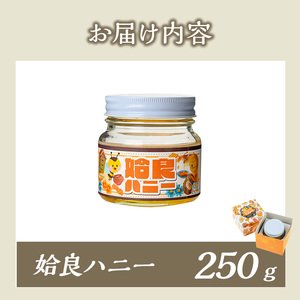 a1002-A 《期間限定!》姶良ハニー(250g)【原電設工業】姶良市 国産 ハチミツ はちみつ 蜂蜜 百花蜜 蜜 常温 常温保存