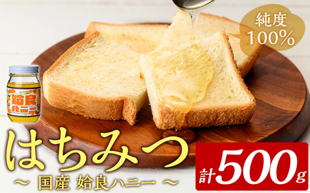 a1002-B 《期間限定!》姶良ハニー(500g)【原電設工業】姶良市 国産 ハチミツ はちみつ 蜂蜜 百花蜜 蜜 常温 常温保存