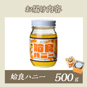 a1002-B 《期間限定!》姶良ハニー(500g)【原電設工業】姶良市 国産 ハチミツ はちみつ 蜂蜜 百花蜜 蜜 常温 常温保存