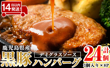 a1003 鹿児島県産黒豚ハンバーグ 計24個 (210g(3個入り)×8パック)【AKR Food Company】姶良市 ハンバーグ デミグラスソース デミソース 国産 鹿児島県産 肉 豚 豚肉 かごしま黒豚さつま お弁当 惣菜 総菜 冷凍ハンバーグ おかず 温めるだけ 湯煎 簡単 冷凍 小分け