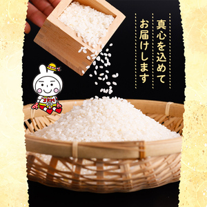 a1026 令和7年産新米 じゃんけんマンのじゃんけん米(計5kg)【姶良のアグリM~】姶良市 お米 精米 白米 米 こめ コメ ご飯 ごはん ヒノヒカリ ひのひかり 5kg 5キロ